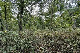 9516 County 4, Houston, MN 55943 - Photo 58