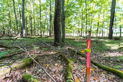 Lot5 815 Avenue, Menomonie, WI 54751 - Photo 1