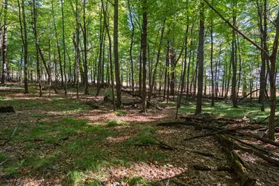 Lot6 815th Avenue, Menomonie, WI 54751 - Photo 14