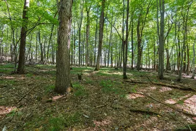 Lot7 815th Avenue, Menomonie, WI 54751 - Photo 4