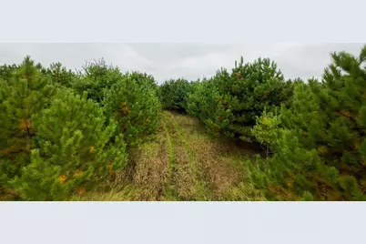 County Line Ave. Tbd, Clear Lake, WI 54005 - Photo 2