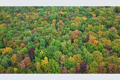 County Line Ave. Tbd, Clear Lake, WI 54005 - Photo 6