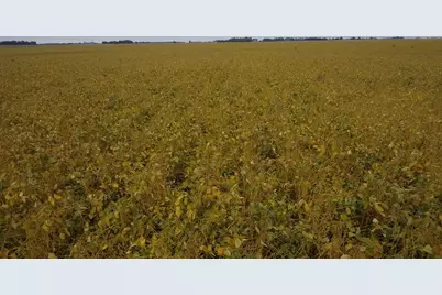86595Tt 280th Street, Danube, MN 56230 - Photo 24