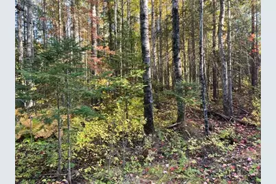 Tbd Lost Lake Rd., Tower, MN 55790 - Photo 4