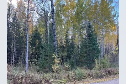 Tbd Lost Lake Rd., Tower, MN 55790 - Photo 12