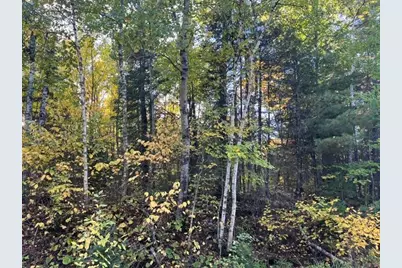 Tbd Lost Lake Rd., Tower, MN 55790 - Photo 10