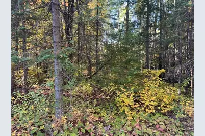 Tbd Lost Lake Rd., Tower, MN 55790 - Photo 2