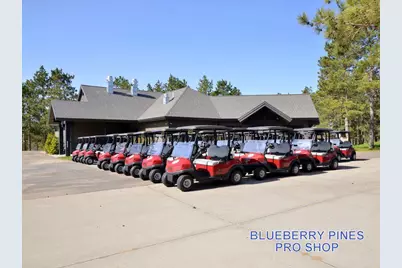 12351 Blueberry Loop, Menahga, MN 56464 - Photo 40