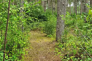 18130 County 18, Park Rapids, MN 56470 - Photo 48