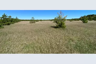 Tbd Crooked River Dr - Tract C, Park Rapids, MN 56470 - Photo 4