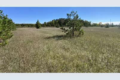 Tbd Crooked River Dr - Tract D, Park Rapids, MN 56470 - Photo 2