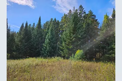 Lt 3 Blk 1 County Rd 238, Deer River, MN 56636 - Photo 2