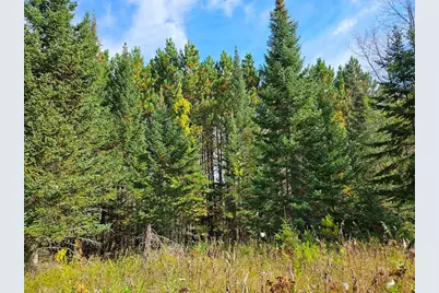 Lt 3 Blk 1 County Rd 238, Deer River, MN 56636 - Photo 6