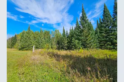 Lt 3 Blk 1 County Rd 238, Deer River, MN 56636 - Photo 16