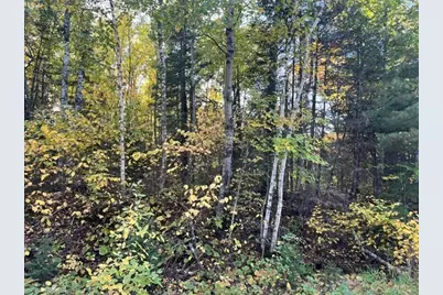 Tbd S Loon Lake Rd., Aurora, MN 55705 - Photo 12