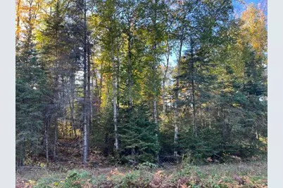 Tbd S Loon Lake Rd., Aurora, MN 55705 - Photo 10