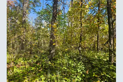Tbd County Road 30, Aitkin, MN 56431 - Photo 10