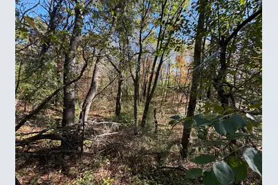 Tbd Delong Road, Somerset, WI 54020 - Photo 10