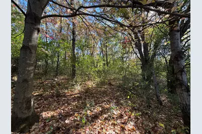 Tbd Delong Road, Somerset, WI 54020 - Photo 12