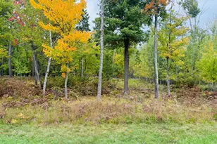 L1 B4 Drahos Rd, Brainerd, MN 56401 - Photo 1