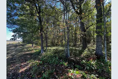 Tbd County Road 2, Brainerd, MN 56401 - Photo 8