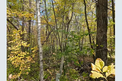 Tbd Lot 2 Bunny Lane, Crosby, MN 56441 - Photo 1