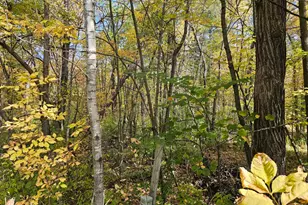 Tbd Lot 2 Bunny Ln, Crosby, MN 56441 - Photo 1