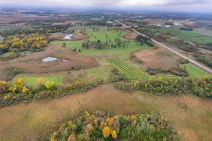 23727 Co Hwy 65, Henning, MN 56551 - Photo 84