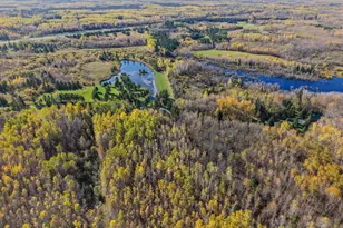 28465 Hwy 71 NE, Blackduck, MN 56630 - Photo 2