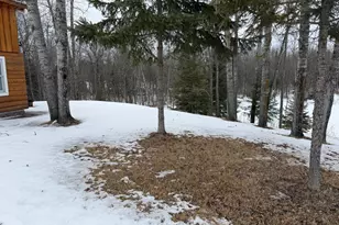 1736 67th St SW, Baudette, MN 56623 - Photo 22