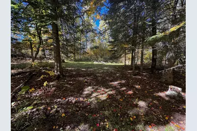 41748 Teal Rd, Bigfork, MN 56628 - Photo 22