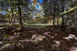 41748 Teal Rd, Bigfork, MN 56628 - Photo 22