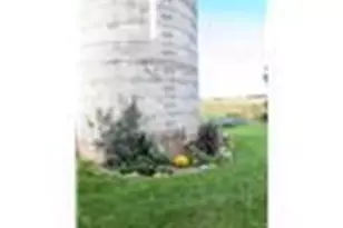 E799 1150th Ave, Downing, WI 54734 - Photo 14