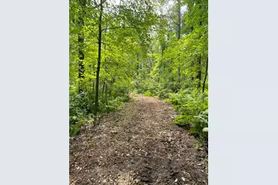 Tbd Lacy Lane SW, Pequot Lakes, MN 56472 - Photo 1