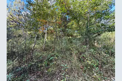 31258 E 325th Avenue, Lanesboro, MN 55971 - Photo 54