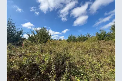 31258 E 325th Avenue, Lanesboro, MN 55971 - Photo 56