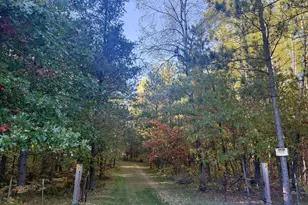 80083 Whispering Pines Ln, Willow River, MN 55795 - Photo 4