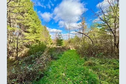 29651 County 5, Wykoff, MN 55990 - Photo 76