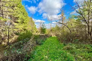 29651 County 5, Wykoff, MN 55990 - Photo 76