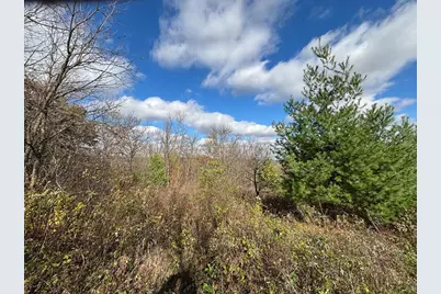 29651 County 5, Wykoff, MN 55990 - Photo 68