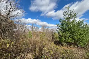 29651 County 5, Wykoff, MN 55990 - Photo 68