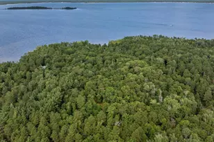 9800 Trails End Rd, Pequot Lakes, MN 56472 - Photo 12