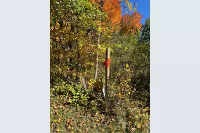 51265 Vagabond Loop, Bemidji, MN 56601 - Photo 2