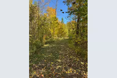 51265 Vagabond Loop, Bemidji, MN 56601 - Photo 8