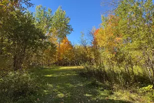51265 Vagabond Loop, Bemidji, MN 56601 - Photo 1