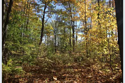 Tbd 177th Street, Ogilvie, MN 56358 - Photo 2
