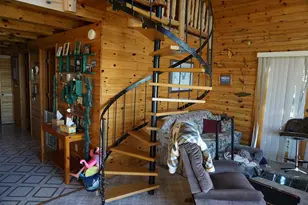 25667 Lou Rayne Beach Rd NE, Waskish, MN 56685 - Photo 8