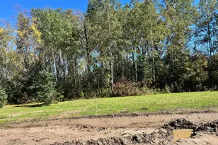 Tbd Little Elk Dr, Randall, MN 56475 - Photo 1