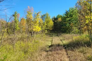33232 260th Ave, Erhard, MN 56534 - Photo 36