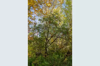13088 220th Street, Mcgrath, MN 56350 - Photo 54